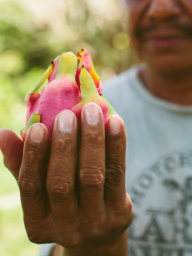 Agriculture training leads to bigger harvests