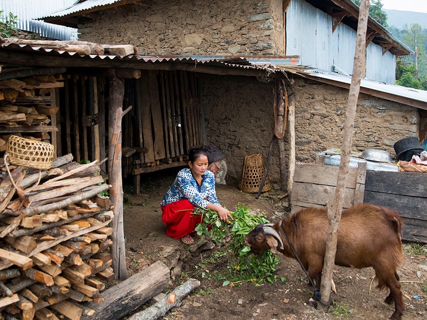 Agricultural training helps farmers raise animals.
