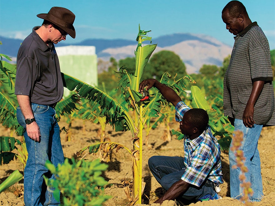 Farmers in Haiti