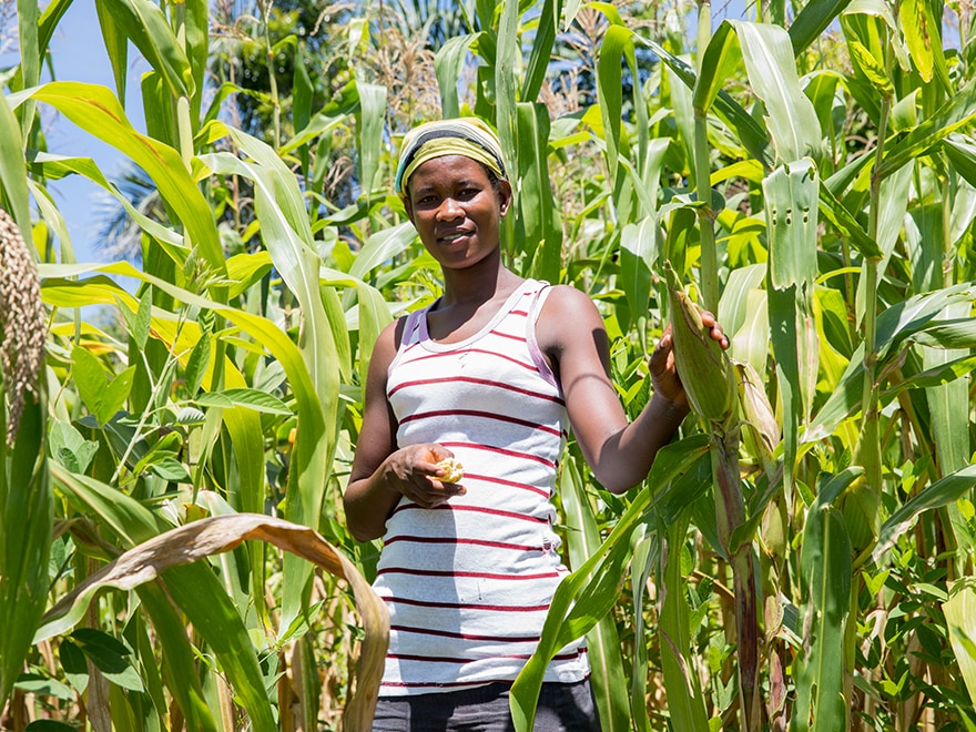 Convoy Agricultural Initiative