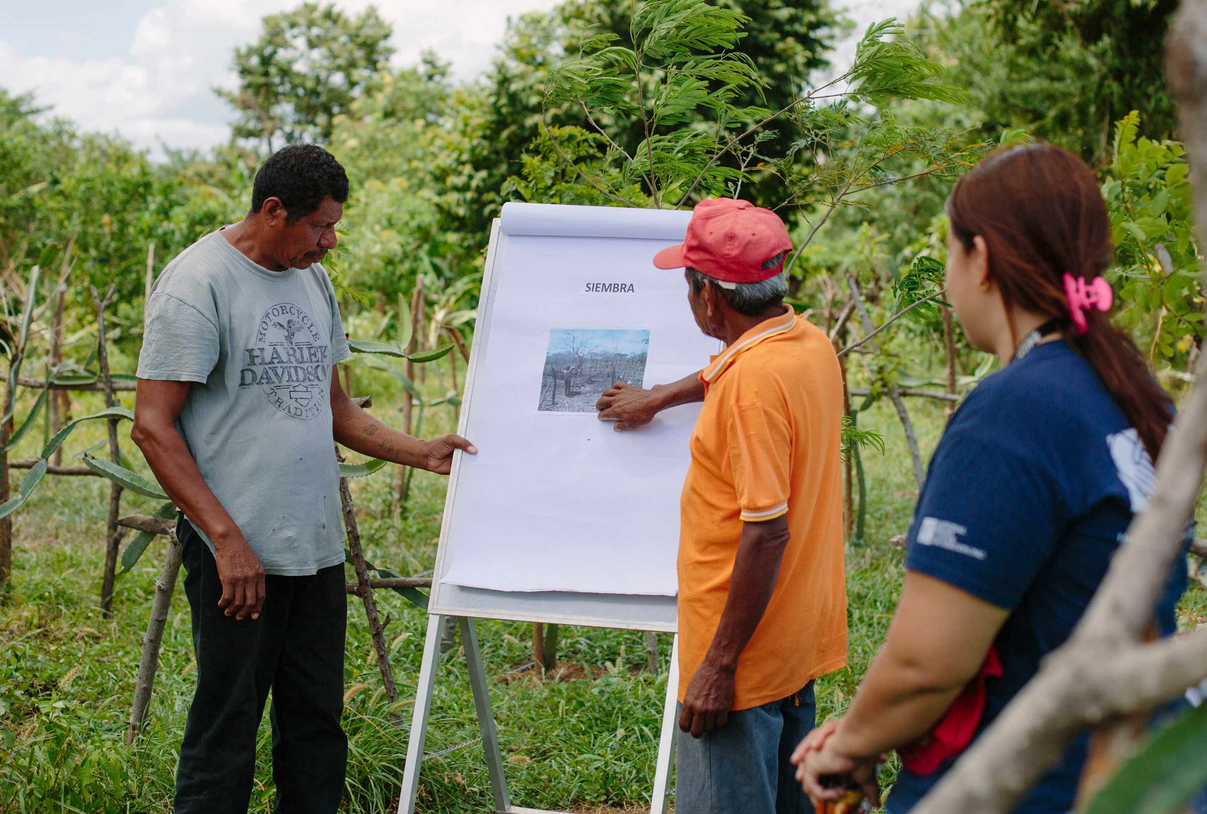 Agriculture training presentation